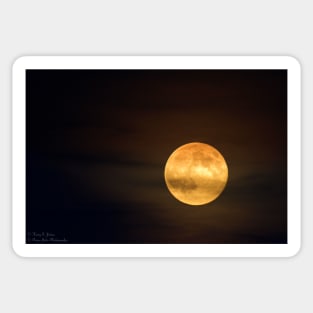 Perigee Moon - August 10 2014 © Sticker